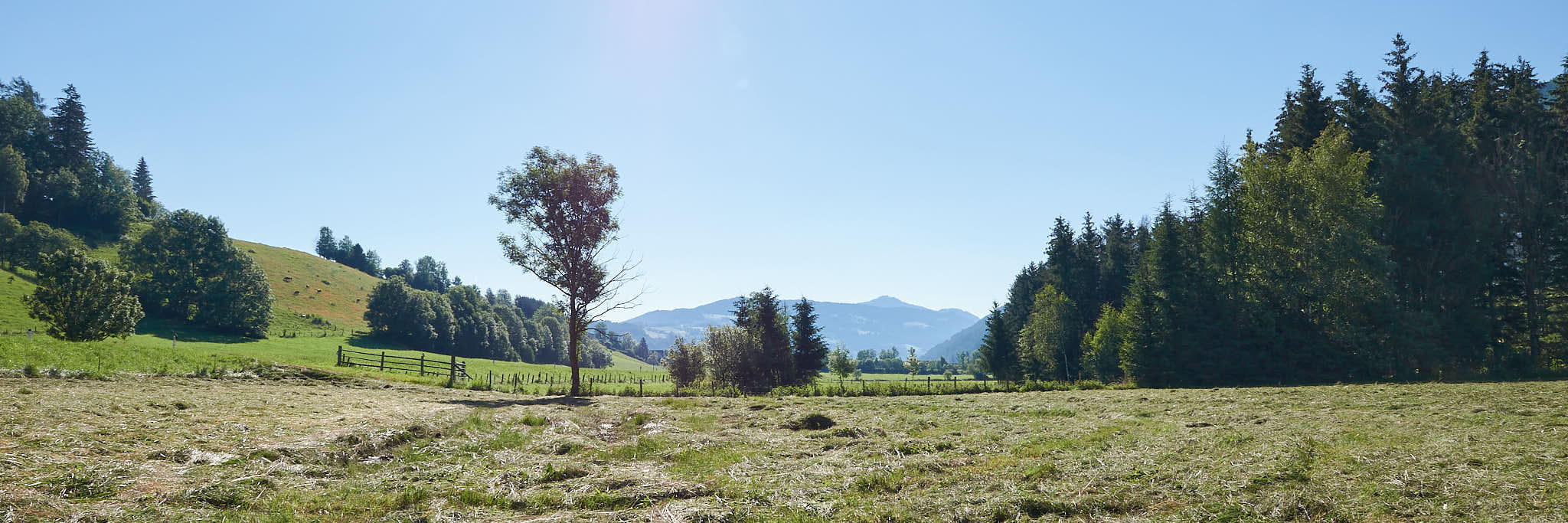 Sommerurlaub in Schöder im Murtal