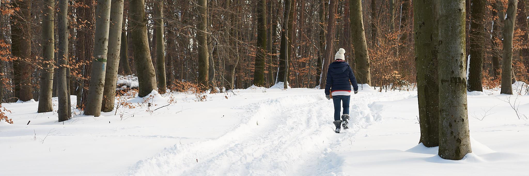 Winter hikes